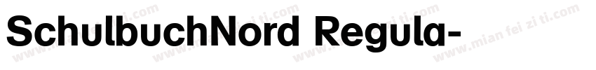 SchulbuchNord Regula字体转换